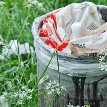 Nachhaltig grillen (6): Der Müll Vorschau