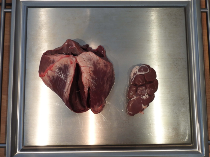 Ein Edelgrill mit Herz und Nieren getestet Vorschaubild